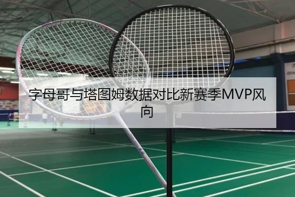 字母哥与塔图姆数据对比新赛季MVP风向